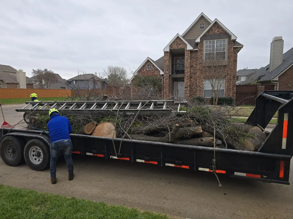 Expert Tree Fertilization with proper safety equipment in Kellyton